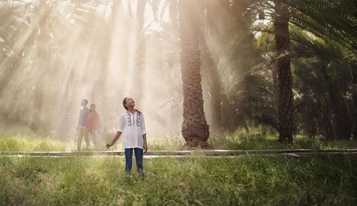 Al Ain Oasis Al Ain Oasis